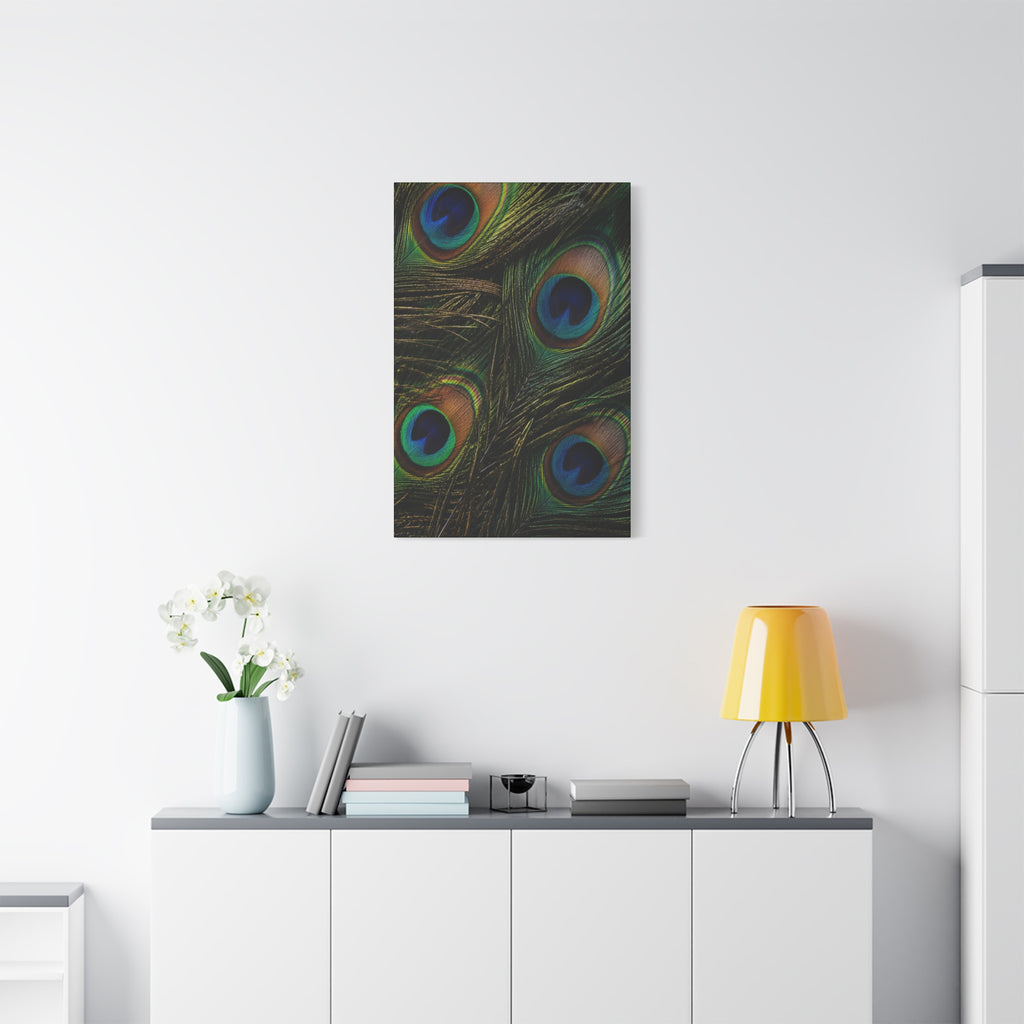 Peacock Feathers — Matte Stretched Wall Art
