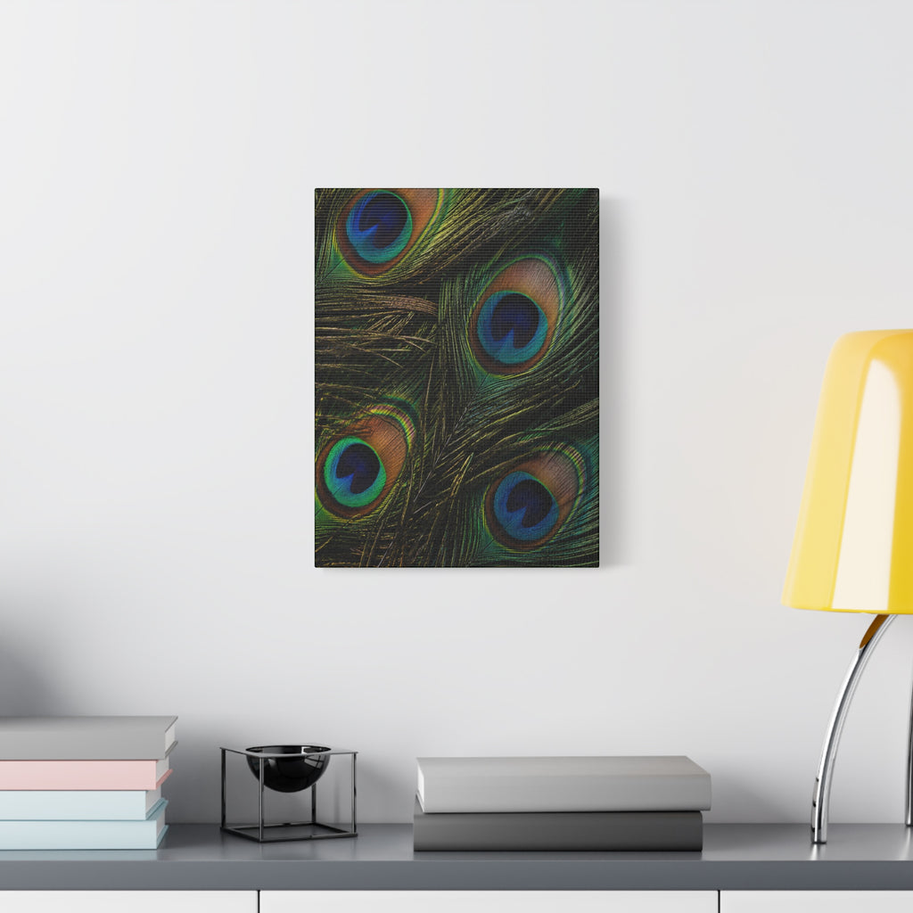 Peacock Feathers — Matte Stretched Wall Art