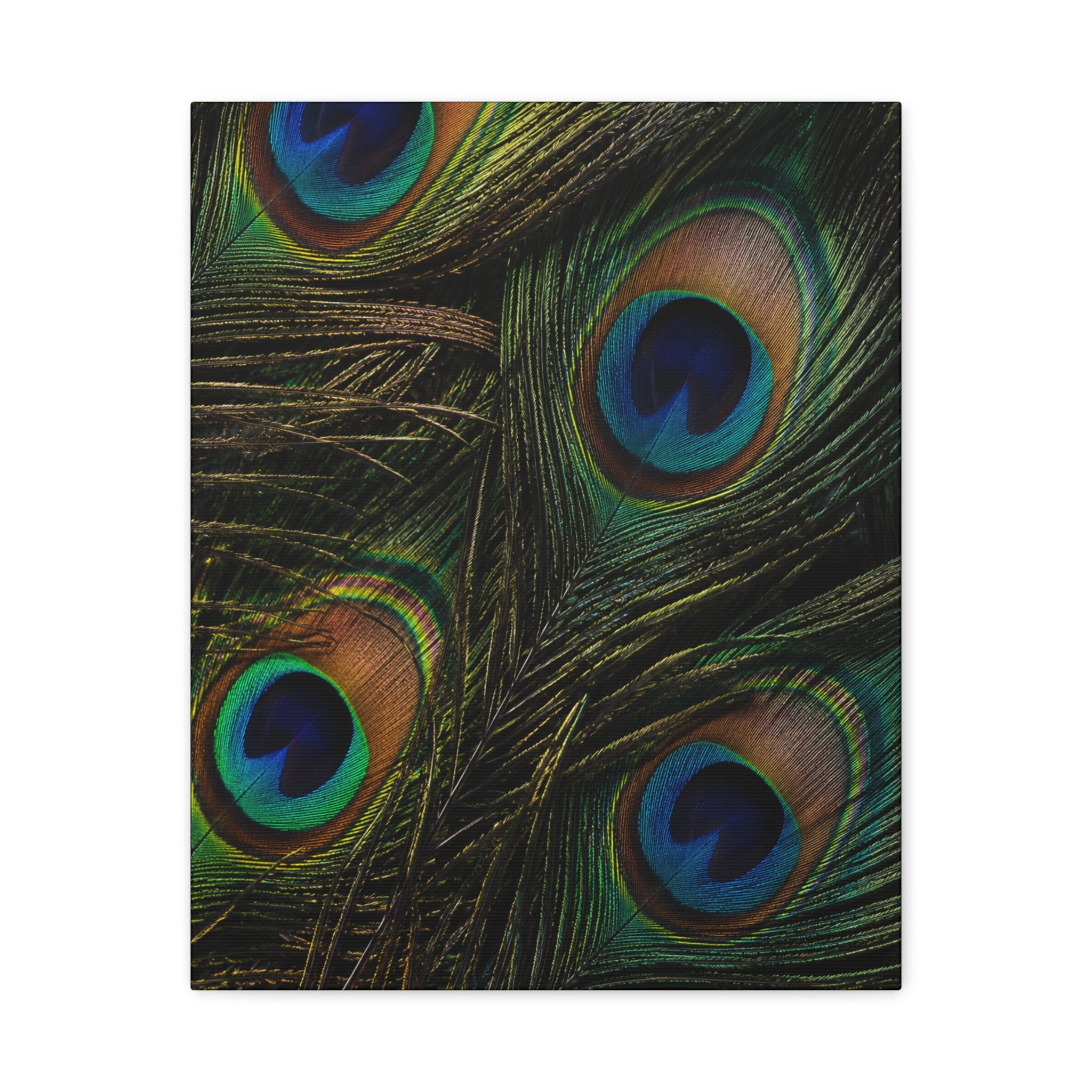Peacock Feathers — Matte Stretched Wall Art