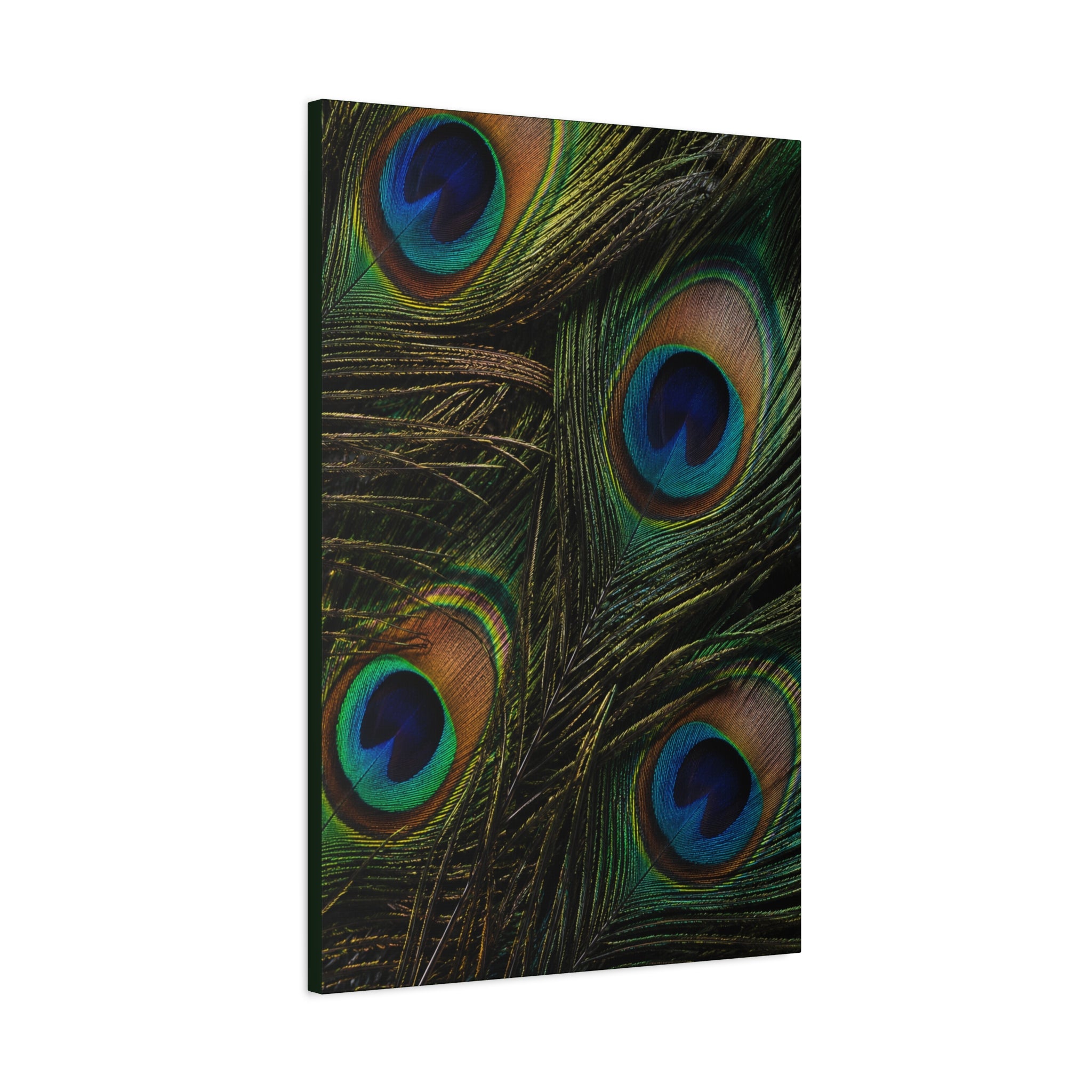Peacock Feathers — Matte Stretched Wall Art
