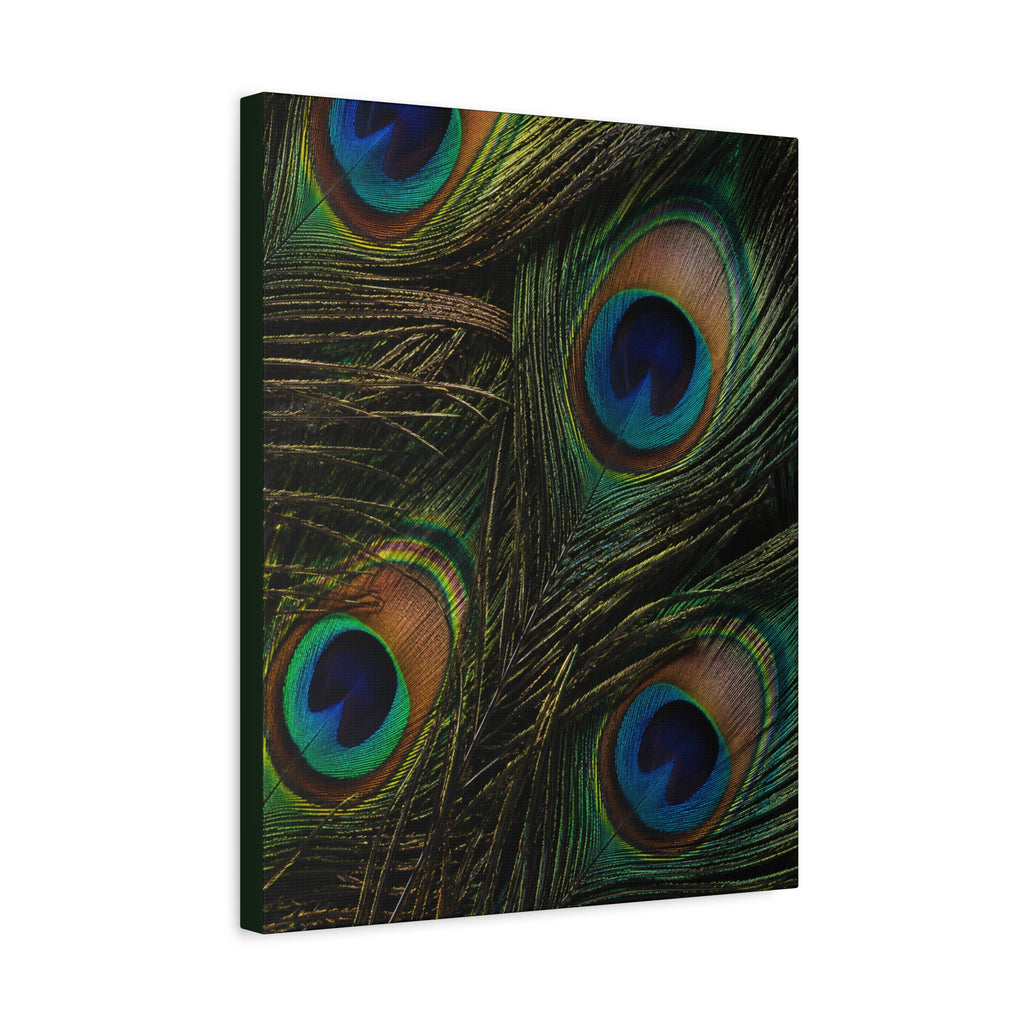 Peacock Feathers — Matte Stretched Wall Art