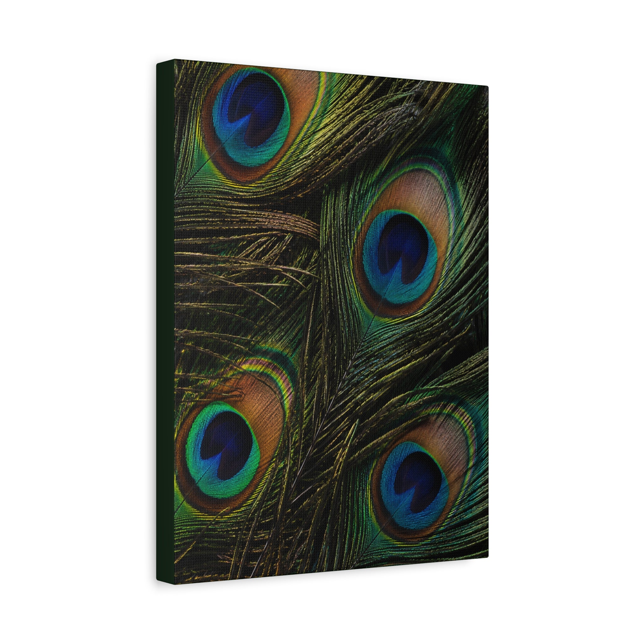 Peacock Feathers — Matte Stretched Wall Art