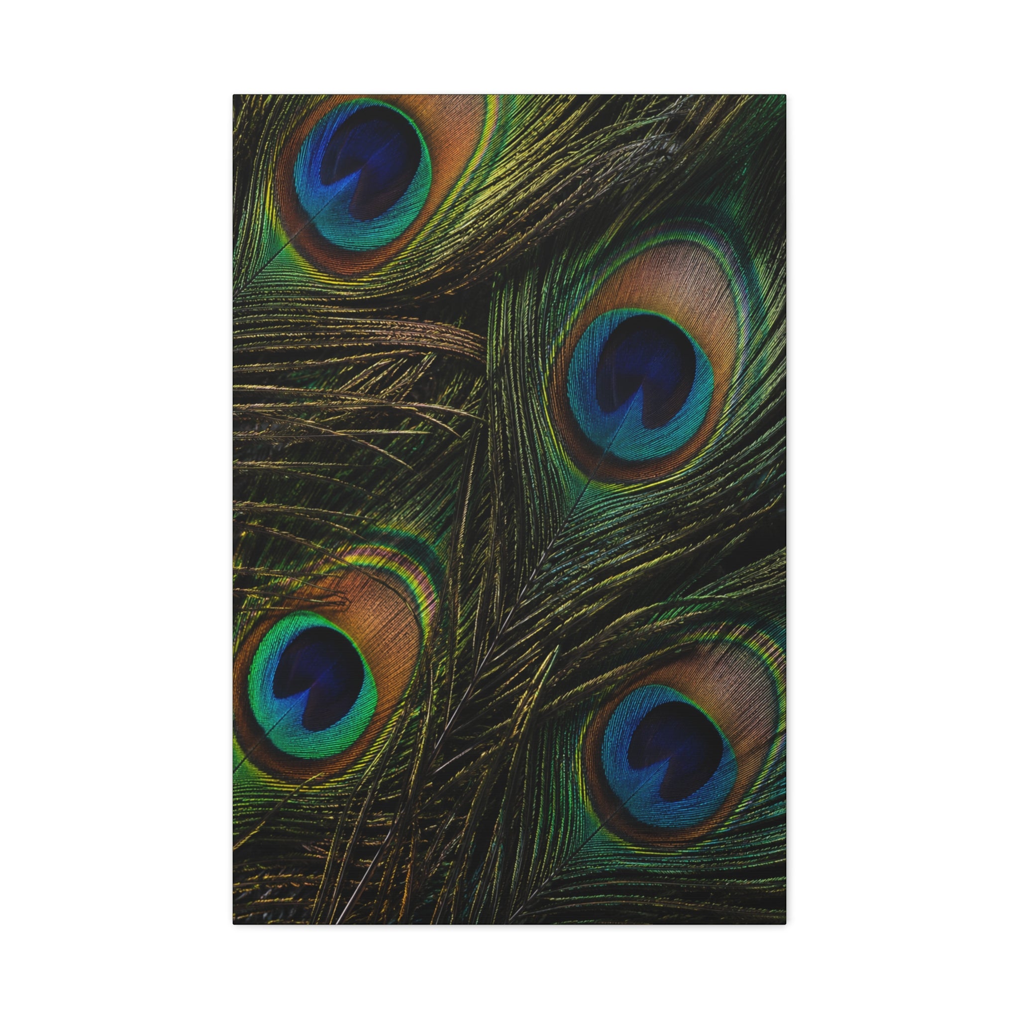 Peacock Feathers — Matte Stretched Wall Art