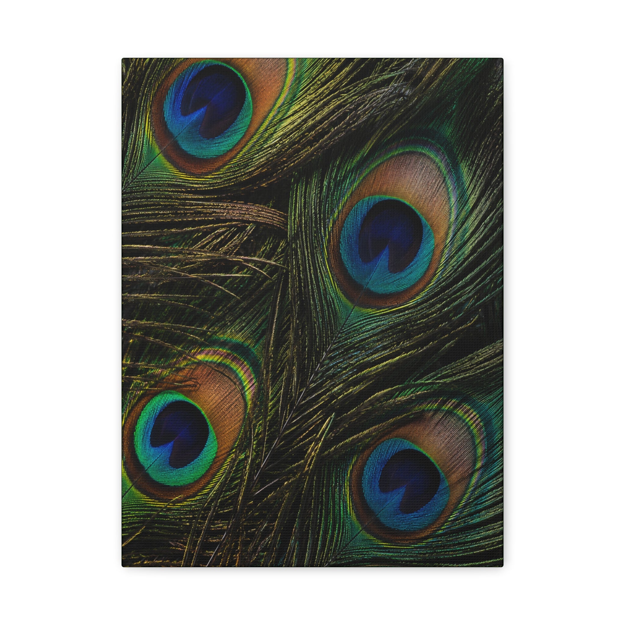 Peacock Feathers — Matte Stretched Wall Art