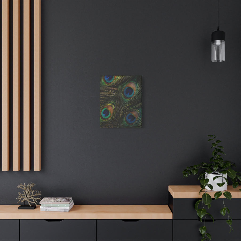 Peacock Feathers — Matte Stretched Wall Art