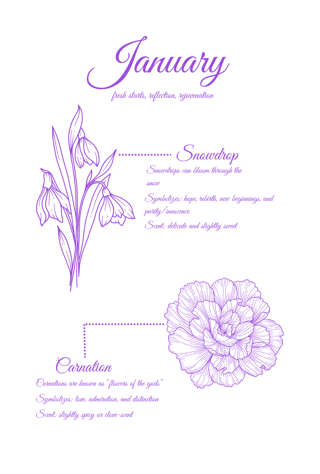 Rooted In: Flower Edition