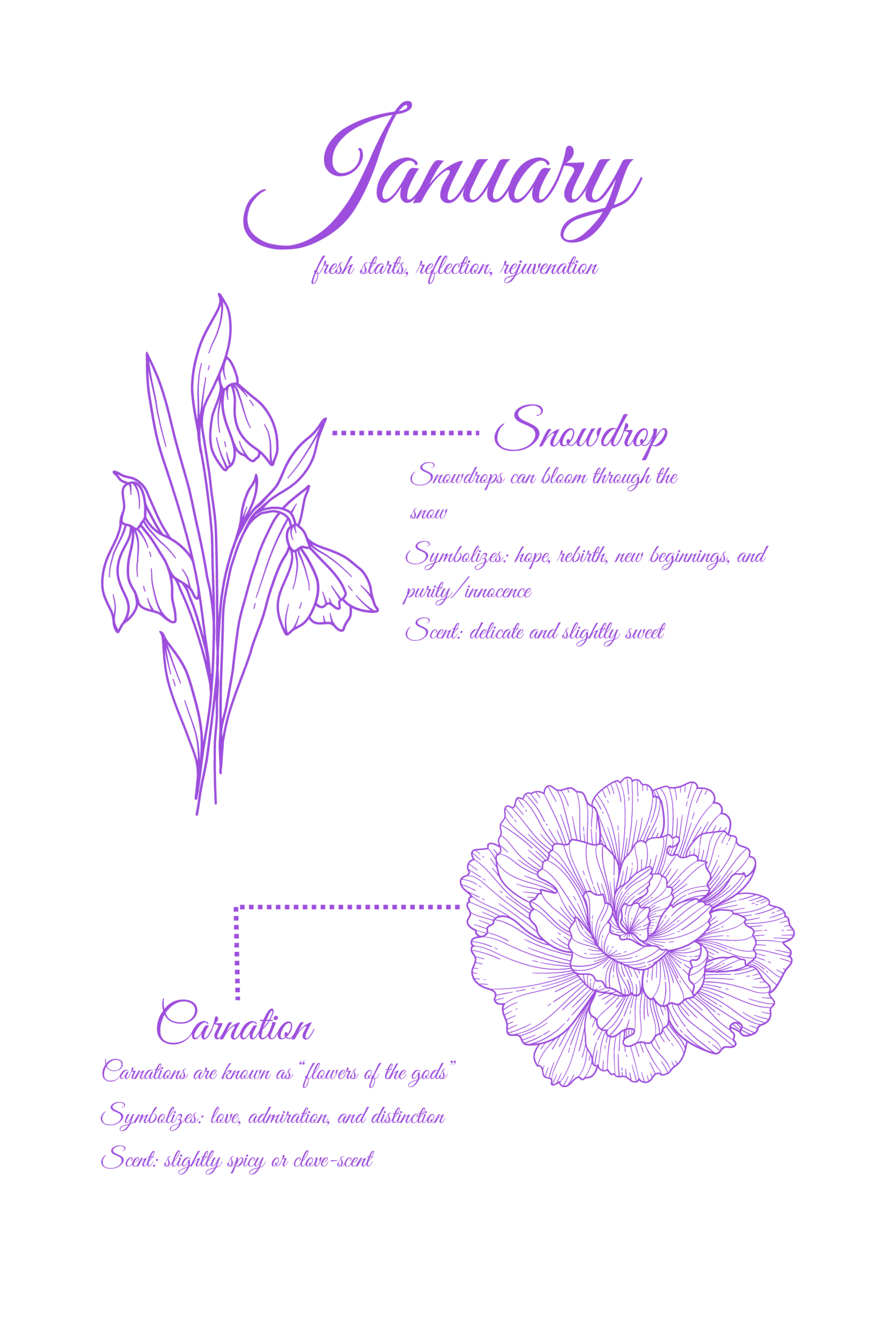 Rooted In: Flower Edition